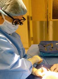 Dr. Kate in surgery